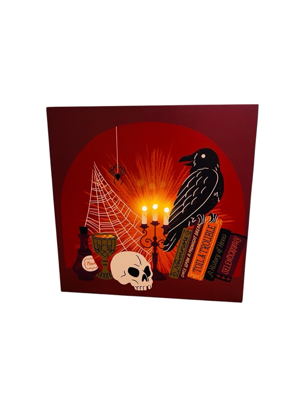 Spooky Raven Academia Table Decor - Picture 4 of 5